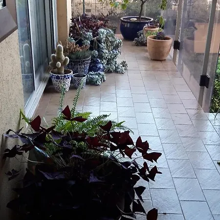 Chez Roland ניס