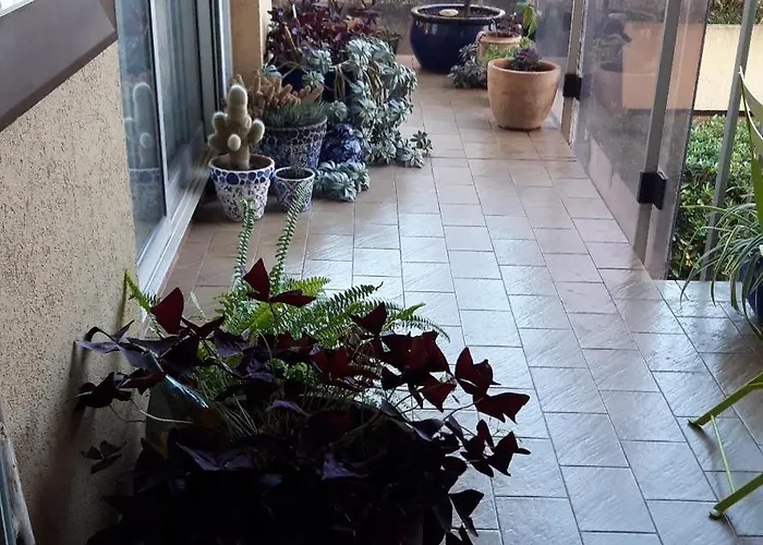Chez Roland ניס